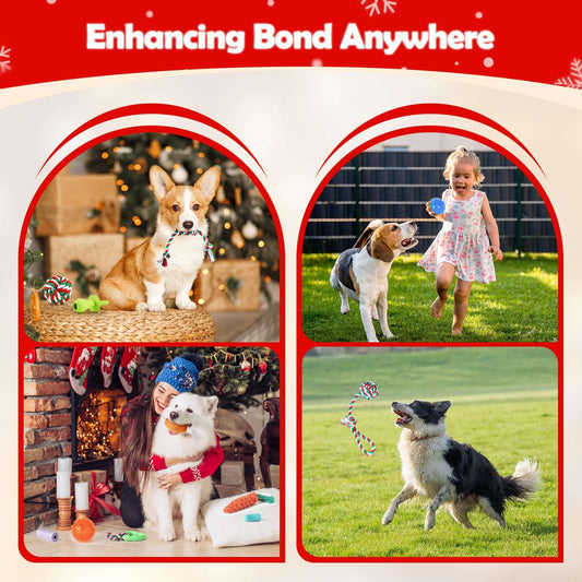 Dog Advent Calendar 2025