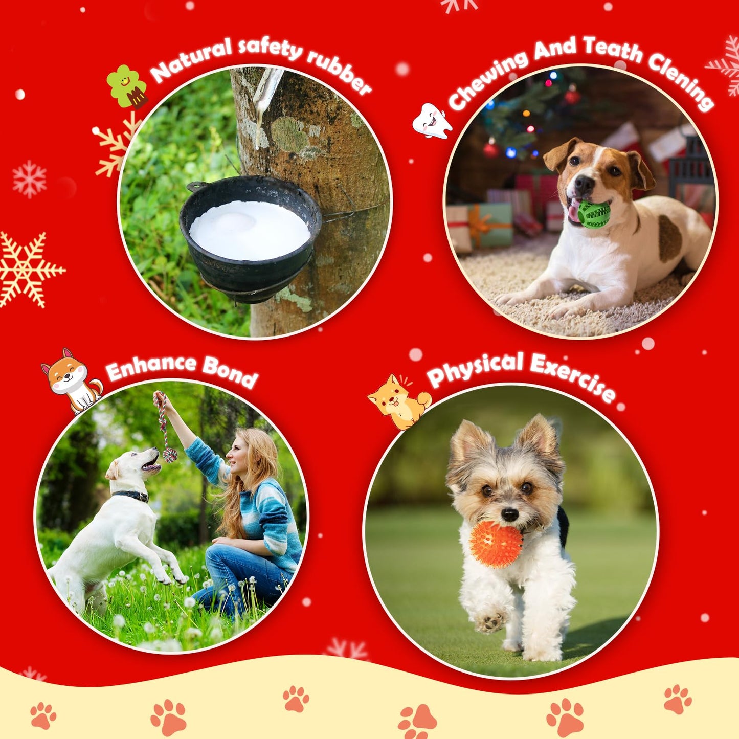 Dog Advent Calendar 2025