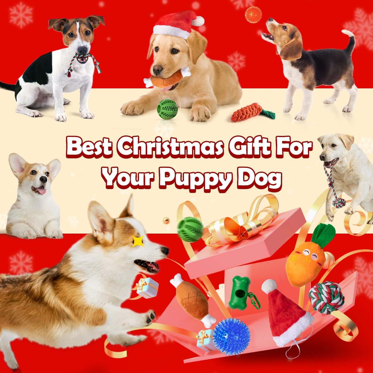 Dog Advent Calendar 2025